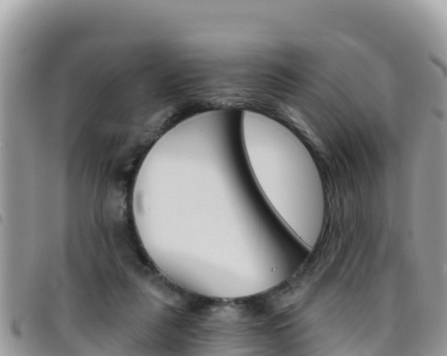 X0000096200259200801181038