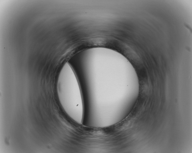 X0000096200262200801181038