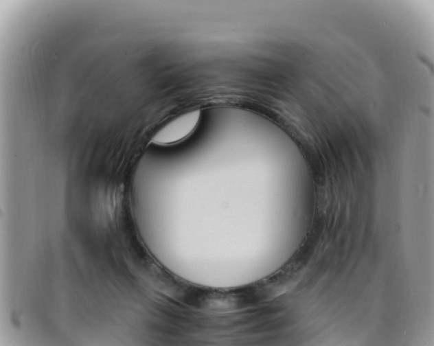 X0000096200263200801181038