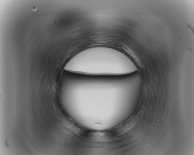 X0000096200265200801181038