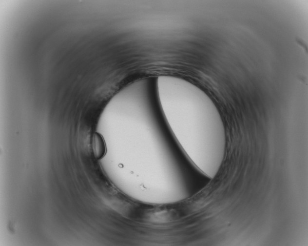 X0000096200267200801181038