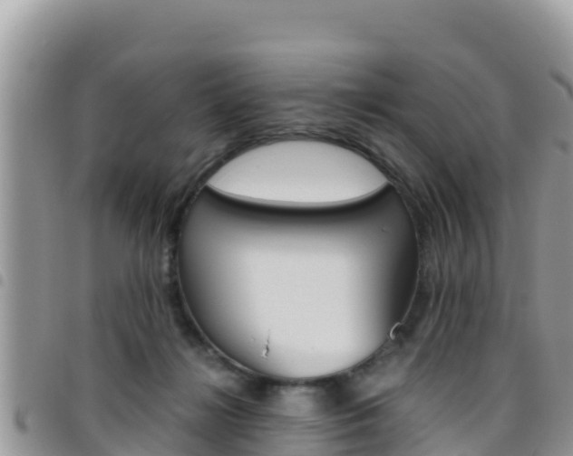 X0000096200268200801181038