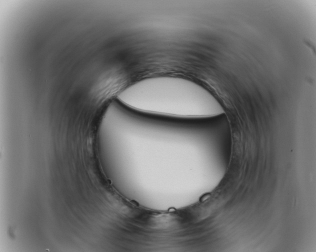 X0000096200269200801181038