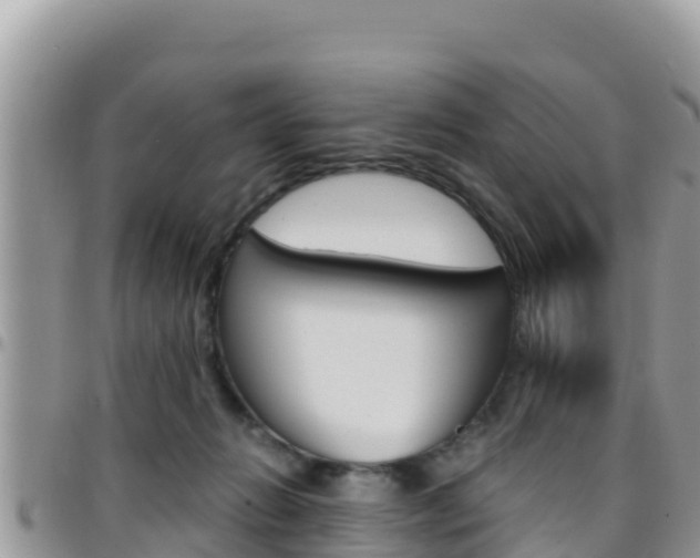 X0000096200270200801181038
