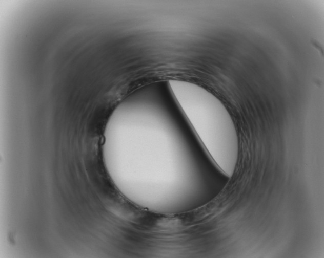 X0000096200271200801181038