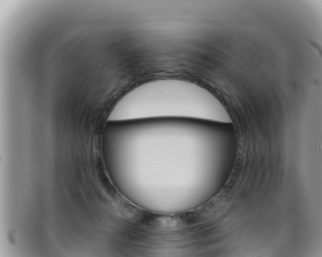 X0000096200272200801181038