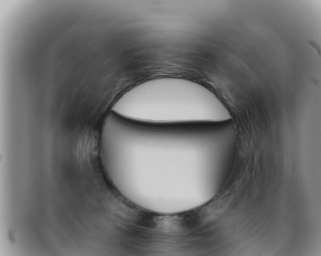 X0000096200273200801181038