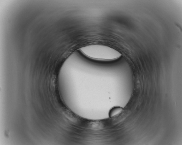 X0000096200275200801181038