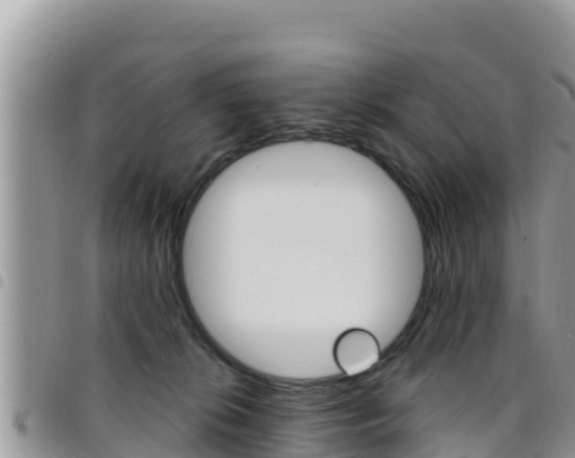 X0000096200276200801181038
