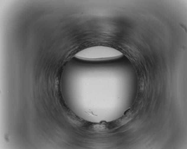 X0000096200279200801181038