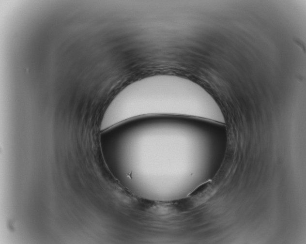 X0000096200280200801181038