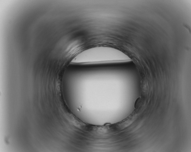 X0000096200282200801181038