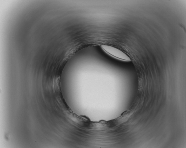 X0000096200286200801181038