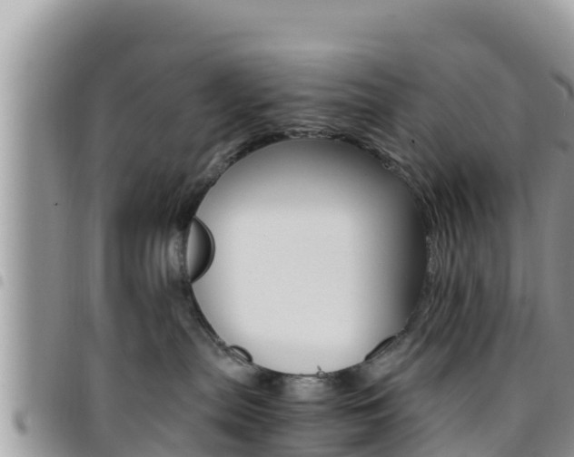 X0000096200287200801181038