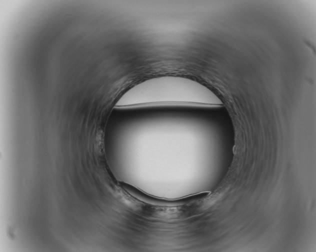 X0000096200288200801181038