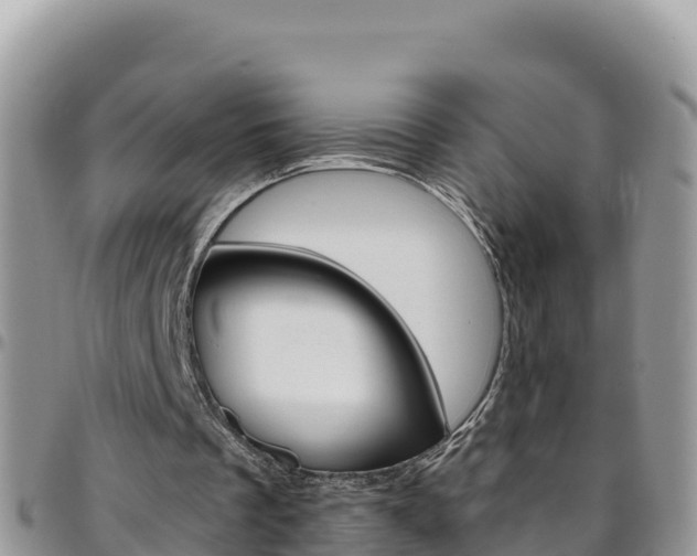 X0000096200289200801181037