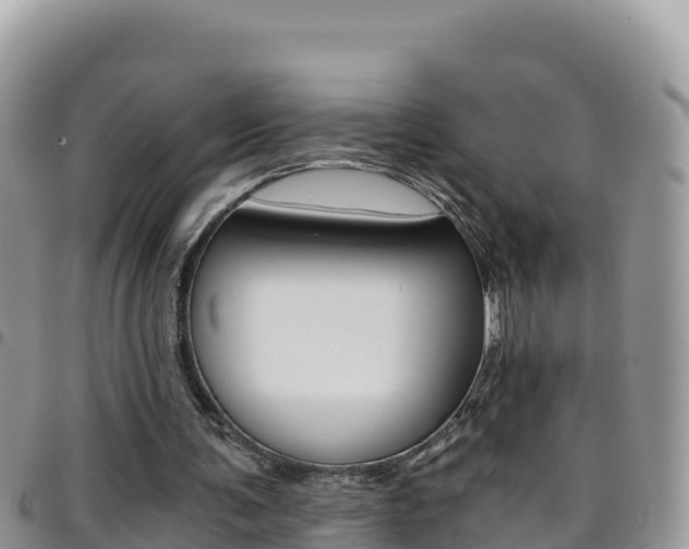 X0000096200291200801181037