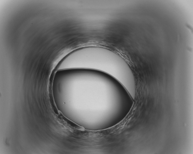 X0000096200292200801181037