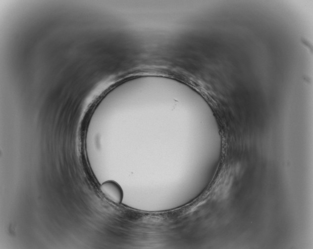 X0000096200294200801181037