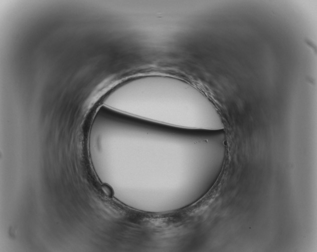 X0000096200295200801181037