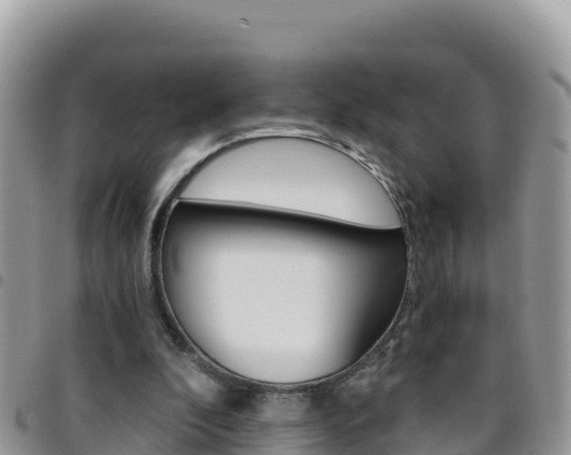 X0000096200296200801181037