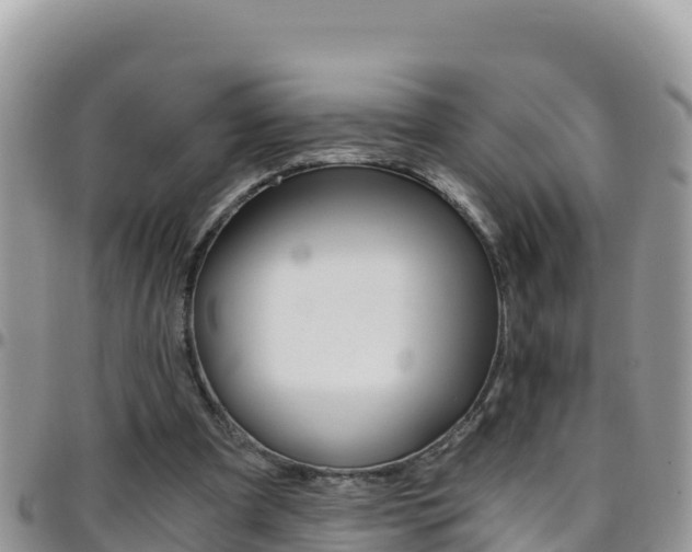 X0000096200297200801181037
