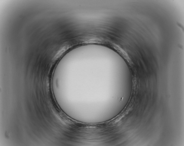 X0000096200298200801181037