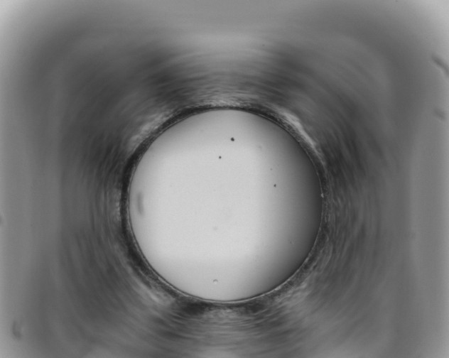 X0000096200299200801181037