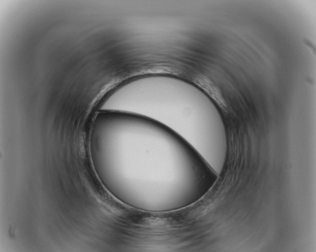 X0000096200300200801181037