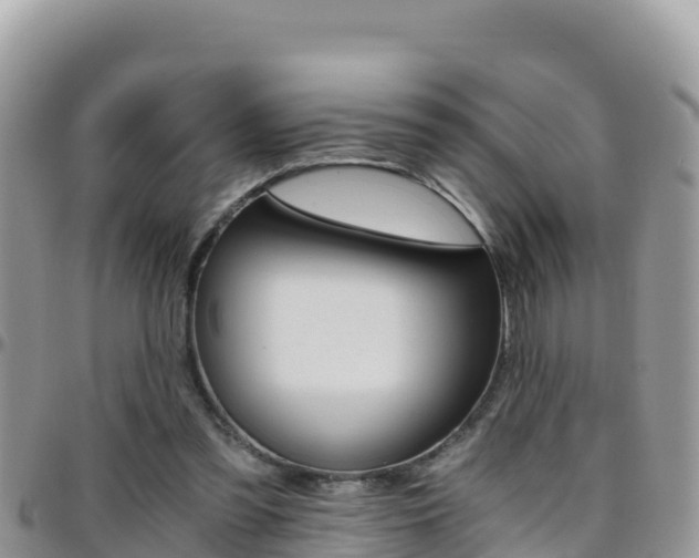 X0000096200301200801181037