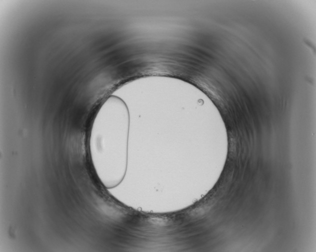 X0000096200302200801181037