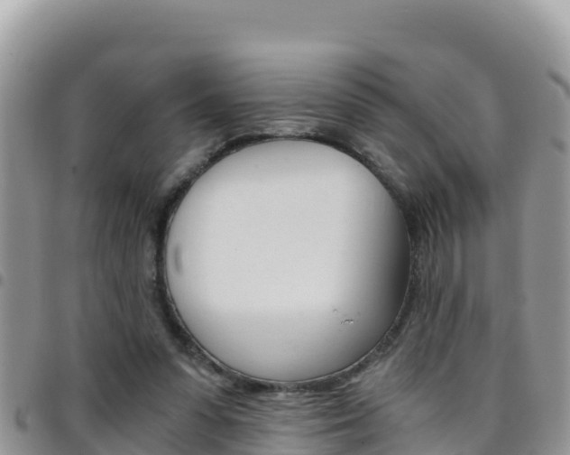 X0000096200303200801181037