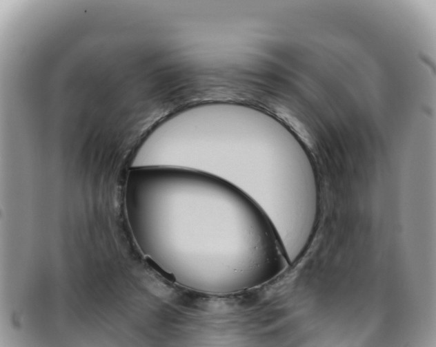 X0000096200305200801181037