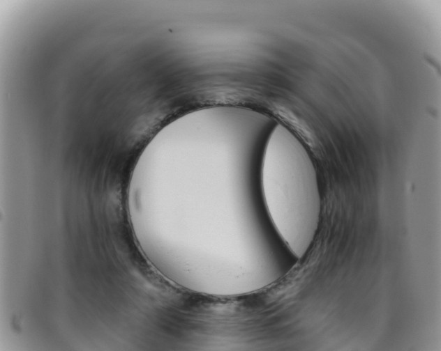 X0000096200306200801181037