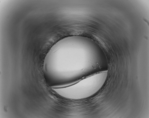 X0000096200307200801181037