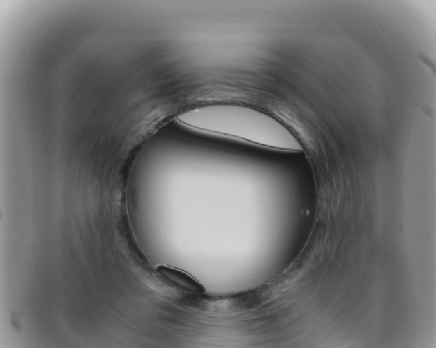 X0000096200309200801181037