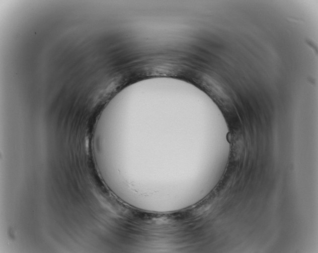 X0000096200310200801181037