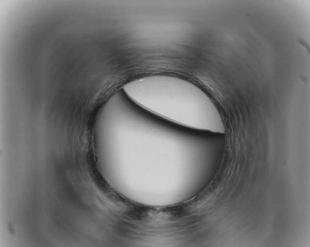X0000096200311200801181037