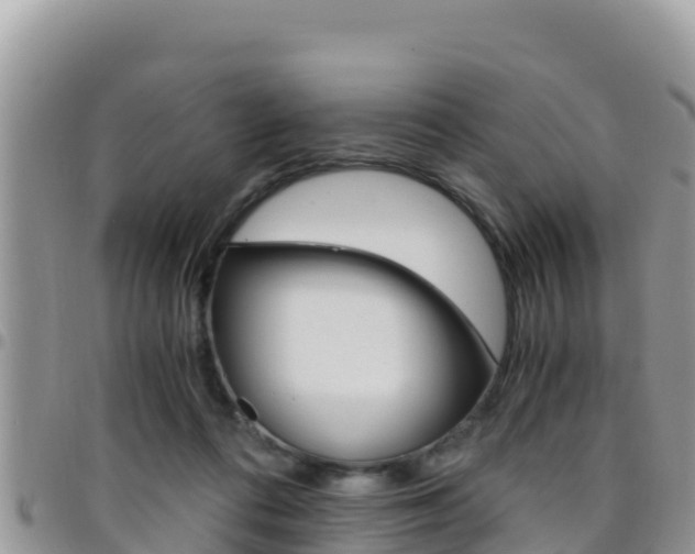 X0000096200312200801181037