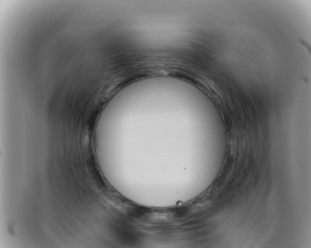 X0000096200314200801181037