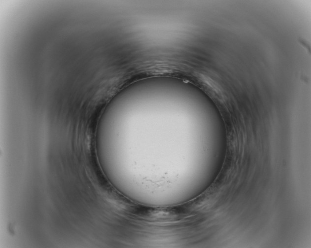 X0000096200315200801181037