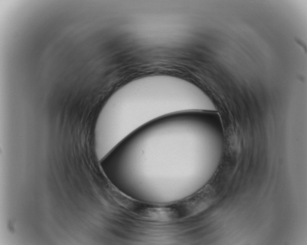 X0000096200316200801181037