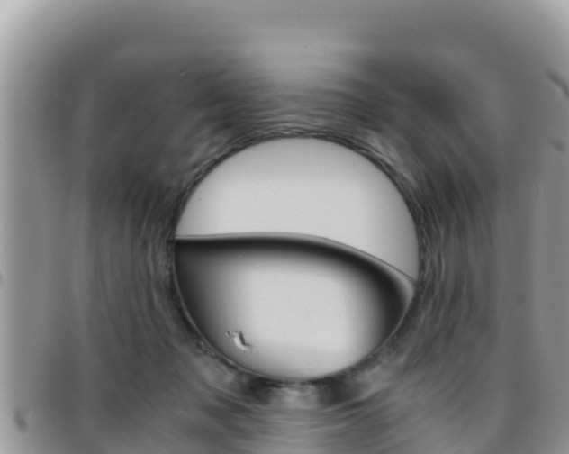 X0000096200317200801181037