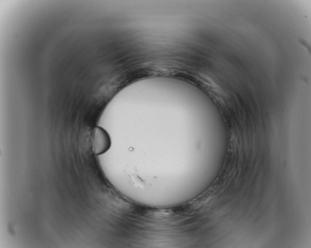 X0000096200318200801181037