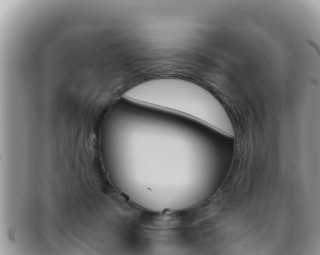 X0000096200319200801181037