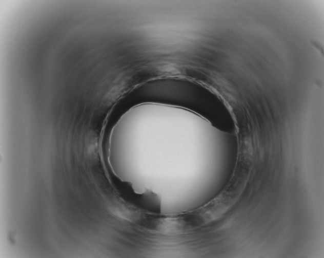 X0000096200320200801181037