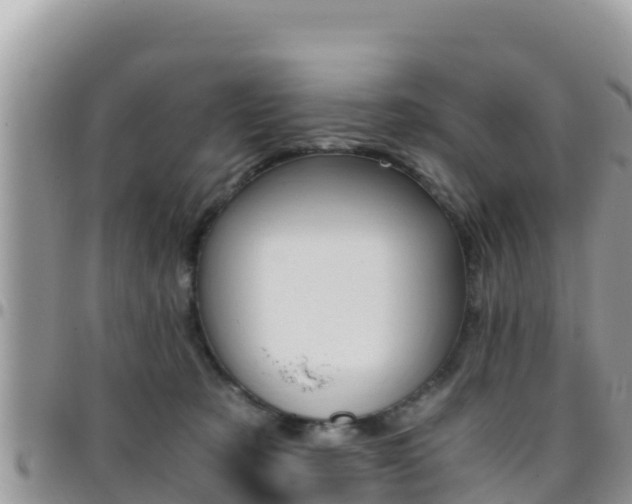X0000096200321200801181037