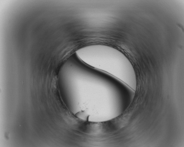 X0000096200325200801181037