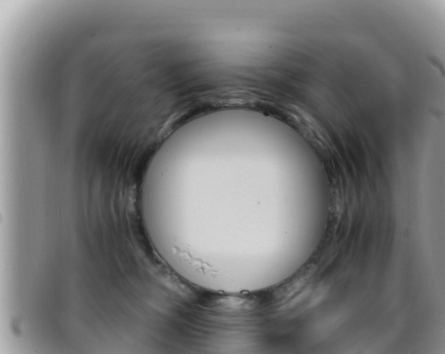 X0000096200326200801181037