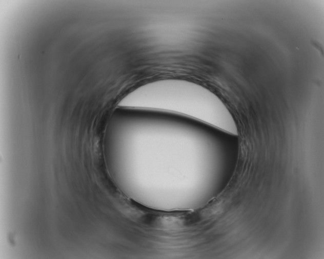 X0000096200327200801181037